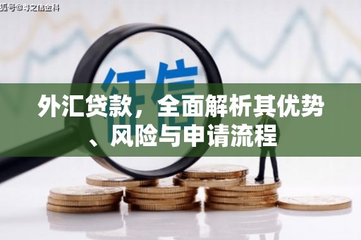 措美外汇贷款，全面解析其优势、风险与申请流程