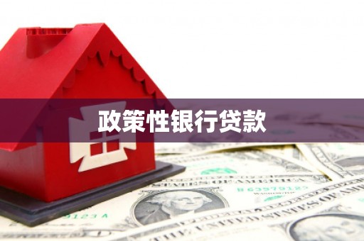措美政策性银行贷款