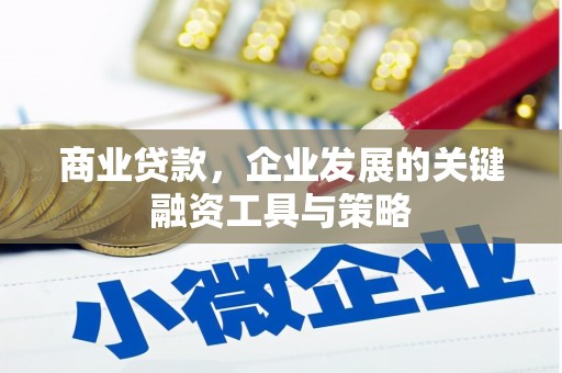 措美商业贷款，企业发展的关键融资工具与策略