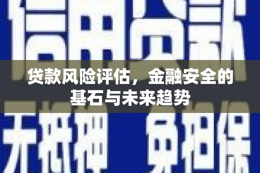 措美贷款风险评估，金融安全的基石与未来趋势