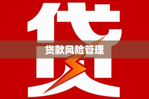 措美贷款风险管理