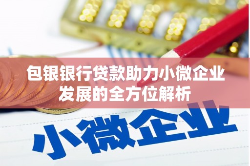 措美包银银行贷款助力小微企业发展的全方位解析 措美包银银行贷款助力小微企业发展的全方位解析