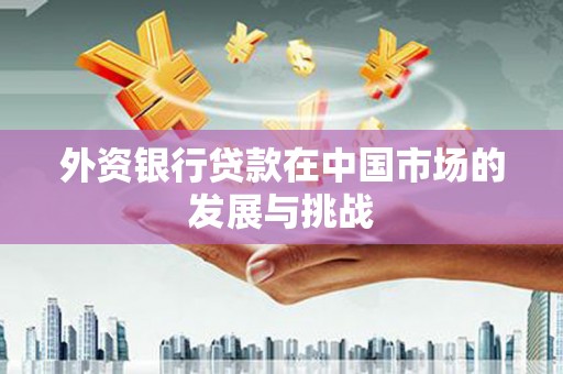 措美外资银行贷款在中国市场的发展与挑战
