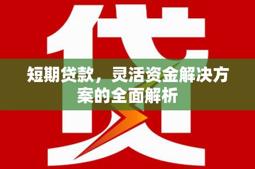 措美短期贷款，灵活资金解决方案的全面解析