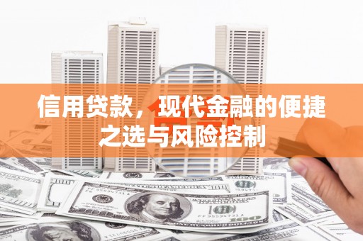 措美信用贷款，现代金融的便捷之选与风险控制