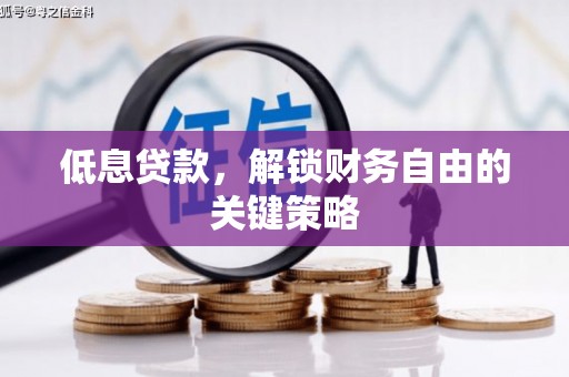 措美低息贷款，解锁财务自由的关键策略