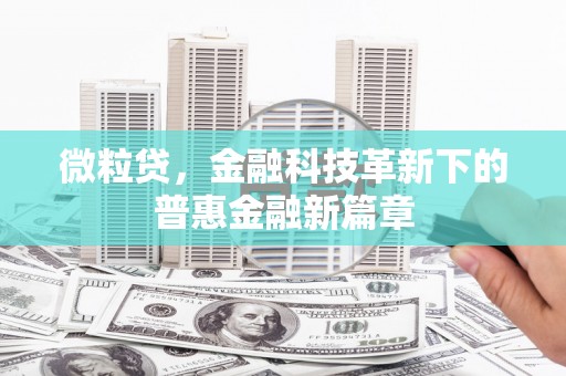 措美微粒贷，金融科技革新下的普惠金融新篇章