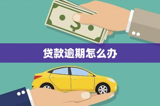 措美贷款逾期怎么办