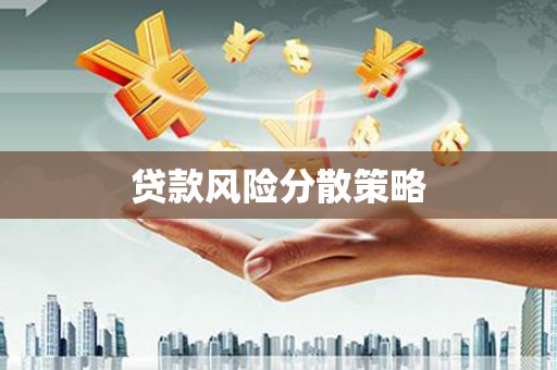 措美贷款风险分散策略