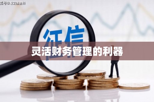 措美灵活财务管理的利器