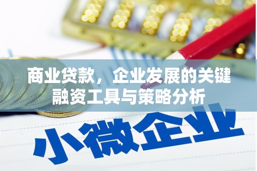 措美商业贷款，企业发展的关键融资工具与策略分析