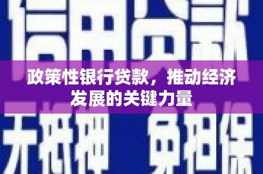 措美政策性银行贷款，推动经济发展的关键力量
