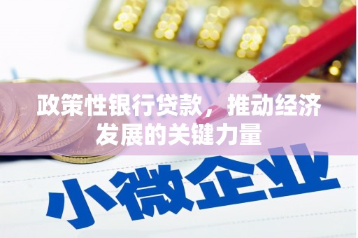 措美政策性银行贷款，推动经济发展的关键力量
