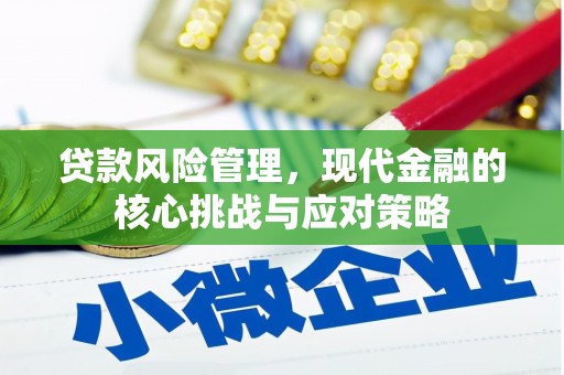 措美贷款风险管理，现代金融的核心挑战与应对策略