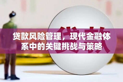 措美贷款风险管理，现代金融体系中的关键挑战与策略