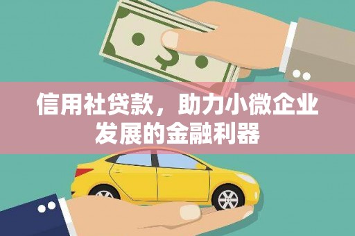 措美信用社贷款，助力小微企业发展的金融利器