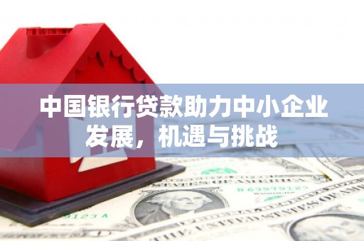 措美中国银行贷款助力中小企业发展，机遇与挑战