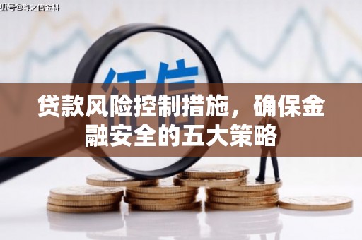 措美贷款风险控制措施，确保金融安全的五大策略