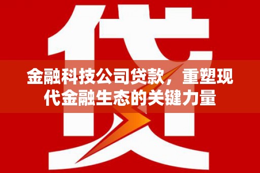 措美金融科技公司贷款，重塑现代金融生态的关键力量