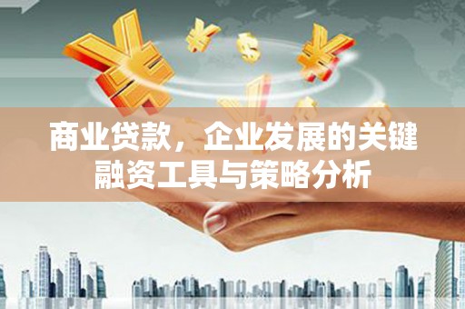 措美商业贷款，企业发展的关键融资工具与策略分析