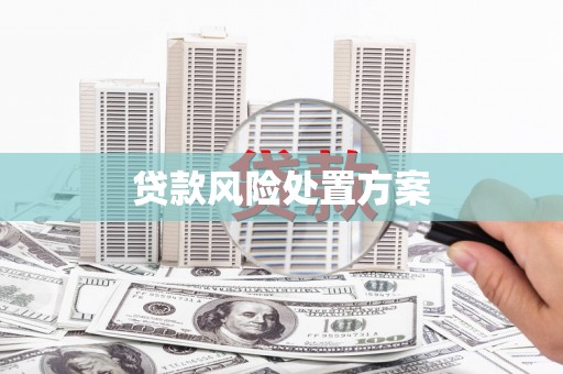 措美贷款风险处置方案