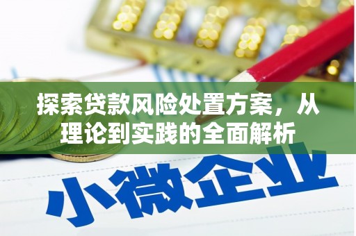 措美探索贷款风险处置方案，从理论到实践的全面解析