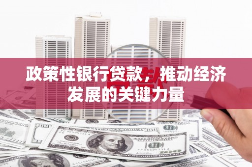 措美政策性银行贷款，推动经济发展的关键力量