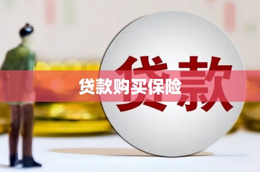 措美贷款购买保险