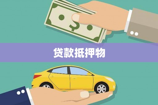 措美贷款抵押物