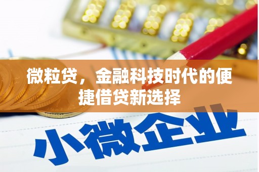 措美微粒贷，金融科技时代的便捷借贷新选择