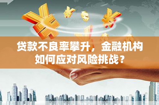 措美贷款不良率攀升，金融机构如何应对风险挑战？