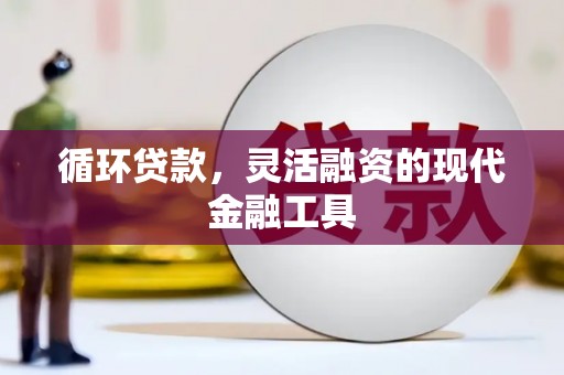 措美循环贷款，灵活融资的现代金融工具