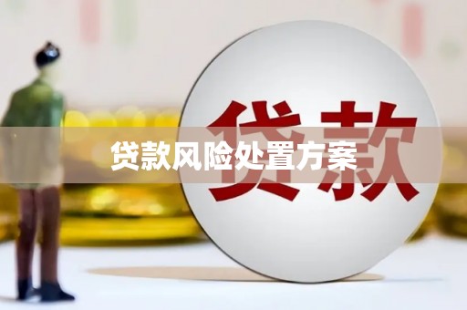 措美贷款风险处置方案