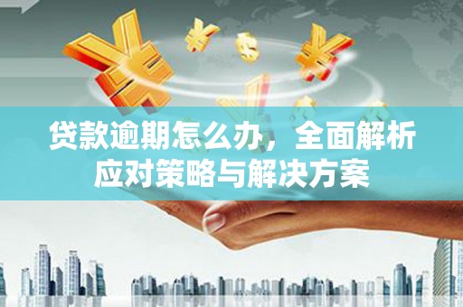 措美贷款逾期怎么办，全面解析应对策略与解决方案