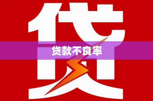 措美贷款不良率