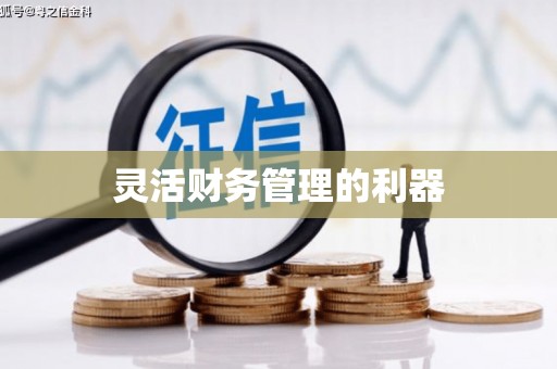 措美灵活财务管理的利器
