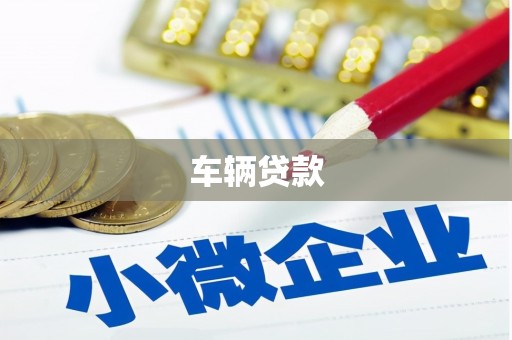 措美车辆贷款