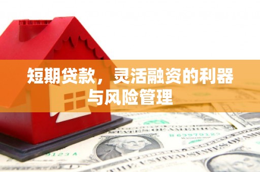 措美短期贷款，灵活融资的利器与风险管理
