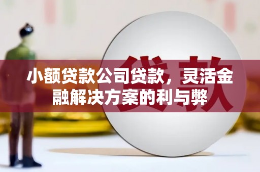 措美小额贷款公司贷款，灵活金融解决方案的利与弊