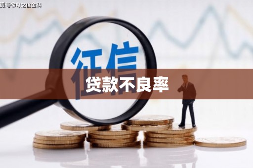 措美贷款不良率